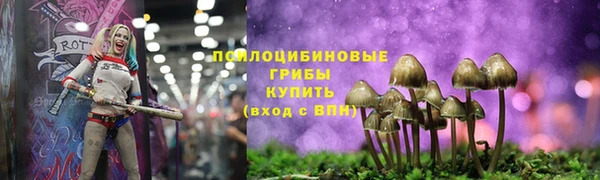 прущая мука Бугульма
