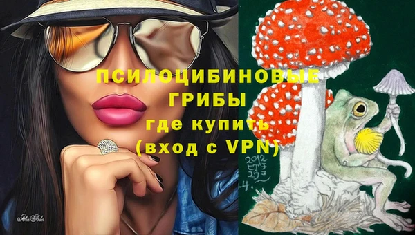соль курить ск Бородино